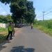 Unit Laka Polresta Cirebon: Satu Tewas, Pengendara Motor Patah Tangan Kiri Akibat Diserempet Pick Up di Jalan Sedong–Lemahabang