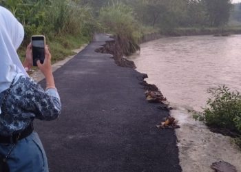 Jalan Nagrak Amblas Tergerus Banjir, Camat Sedong: PUTR dan Bapperida Akan Segera Tindaklanjuti