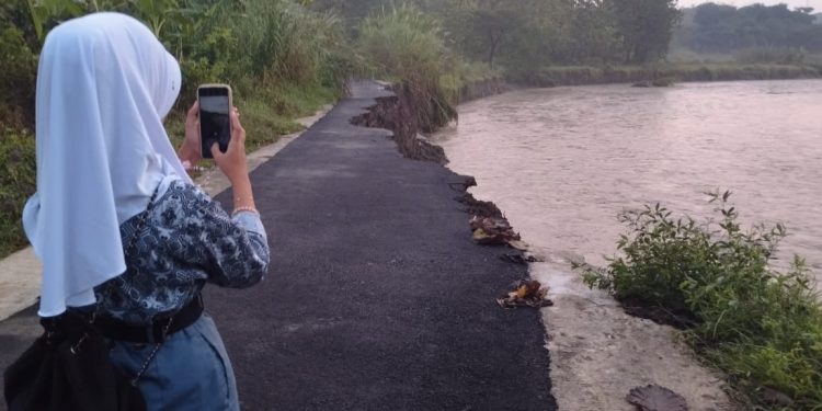 Jalan Nagrak Amblas Tergerus Banjir, Camat Sedong: PUTR dan Bapperida Akan Segera Tindaklanjuti
