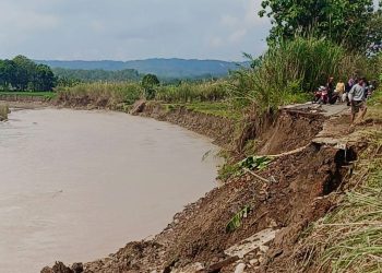 Jalan Nagrak-Lojikaum Putus Total, Warga Harap Jalur Darurat dan Tanggul Beronjong Segera Dibangun