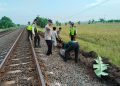 Terjadi di Desa Sleman Indramayu, Wanita Asal Cirebon Tewas Tertemper Kereta Api