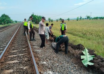 Terjadi di Desa Sleman Indramayu, Wanita Asal Cirebon Tewas Tertemper Kereta Api