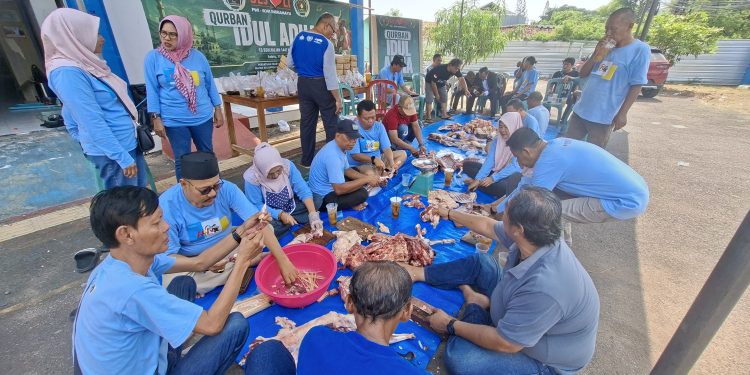 Iduladha 1447 H, PWI-IKWI Kabupaten Indramayu, Potong Satu Sapi dan Tiga Kambing
