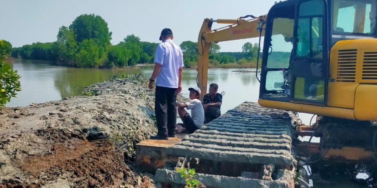 Wakil Bupati Cirebon Respons Keluhan Banjir Rob Ambulu, Penanggulangan Bibir Pantai Dimulai