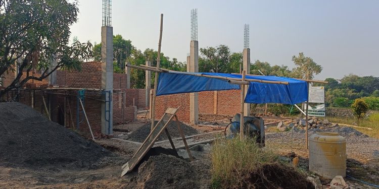 Dinas Pertanian Bangun Central Warehouse di Sedong Lor, Dongkrak Ekonomi Petani Mangga Cirebon