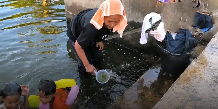 Dampak Kemarau Panjang  Warga Krangkeng Blok Oyoran, Terpaksa Mandi Air Berwarna Hijau di Balong
