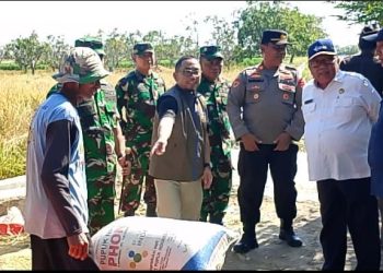 Serap Gabah Petani, Realisasi Penyerapan Bulog Indramayu Capai 90 Persen