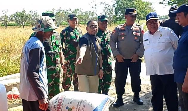 Serap Gabah Petani, Realisasi Penyerapan Bulog Indramayu Capai 90 Persen