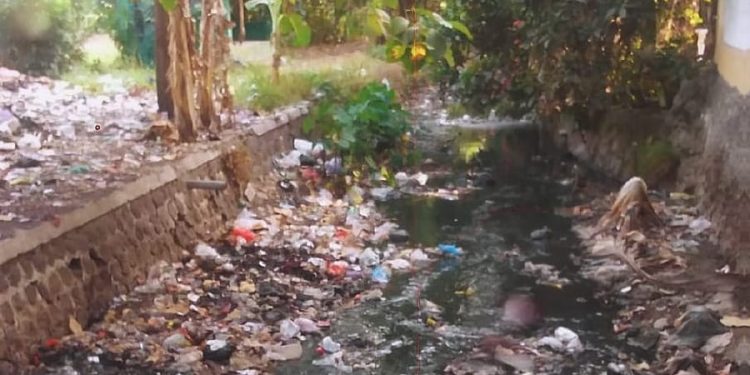 Diserbu Nyamuk Saat Musim Giling, Warga Sekitar PG Sindanglaut Desak Pemkab Cirebon Evaluasi Limbah
