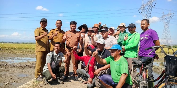 Sistem TABELA Diterapkan di Desa Jatirenggang untuk Percepat Swasembada Beras