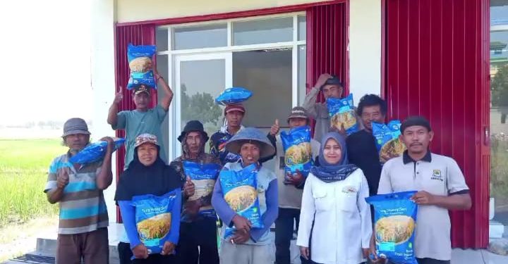 Penyaluran Bantuan Benih Merupakan Bagian Dari Upaya Mendukung Peningkatan Produktivitas Pertanian Sekaligus Memperkuat Ketahanan Pangan