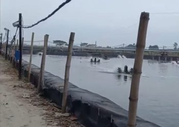 Produksi Perikanan Tambak Air Payau Kabupaten Cirebon Tembus Rekor pada 2025, Budi Daya Jadi Penopang Utama