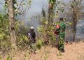 Gerak Cepat Babinsa dan Warga, Kebakaran Lahan Perhutani di Gantar Indramayu Berhasil Dipadamkan