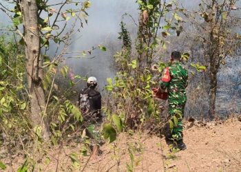 Gerak Cepat Babinsa dan Warga, Kebakaran Lahan Perhutani di Gantar Indramayu Berhasil Dipadamkan