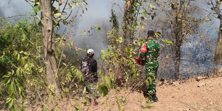 Gerak Cepat Babinsa dan Warga, Kebakaran Lahan Perhutani di Gantar Indramayu Berhasil Dipadamkan