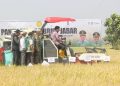 Dandim Indramayu Hadiri Panen Perdana PM-AAS di Terisi