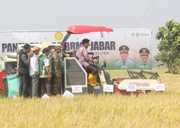 Dandim Indramayu Hadiri Panen Perdana PM-AAS di Terisi