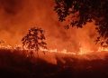 Lahan Tebu Dibakar Pasca Panen di Desa Ciawiasih Hasilkan Asap Tebal & Langgar UU Lingkungan Hidup