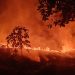 Lahan Tebu Dibakar Pasca Panen di Desa Ciawiasih Hasilkan Asap Tebal & Langgar UU Lingkungan Hidup