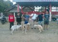 Kifut FC juara 1 Turnamen Kuwu Cup Desa Pabedilan Kulon
