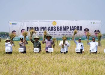 Panen Perdana Program Pertanian Tunjukan Hasil Positif
