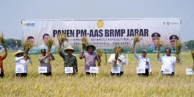 Panen Perdana Program Pertanian Tunjukan Hasil Positif
