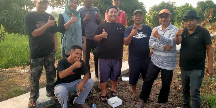 Sigap dan Tanggap, Wakil Bupati Cirebon Kunjungi Wilayah Pertanian Desa Geyongan dan Langsung Berikan Bantuan Pertanian