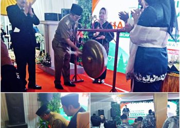 Bupati Imron Resmikan Grand Opening RS Harapan Sehat Losari, Perkuat Layanan Kesehatan di Perbatasan Jabar-Jateng