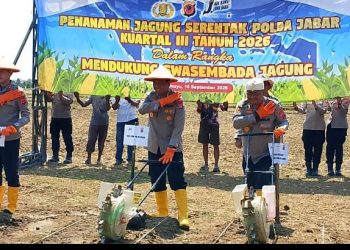 Dukung Program Presiden, Polda Jabar dan Polres Indramayu Garap Penanaman Jagung Serentak di Gantar 