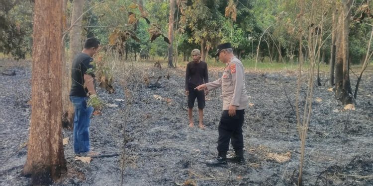 Warga Sindanglaut Ditemukan Meninggal di Kebun, Diduga Terbakar Saat Bersihkan Lahan