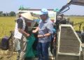 Bulog Jemput Gabah Petani di Indramayu, Serapan Nasional Tembus 4 Juta Ton‎