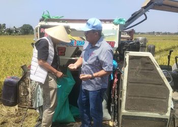 Bulog Jemput Gabah Petani di Indramayu, Serapan Nasional Tembus 4 Juta Ton‎