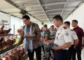 Peternakan Ayam Petelur Lapas Indramayu Produksi 130 Telur per Hari‎