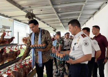 Peternakan Ayam Petelur Lapas Indramayu Produksi 130 Telur per Hari‎