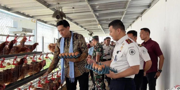 Peternakan Ayam Petelur Lapas Indramayu Produksi 130 Telur per Hari‎