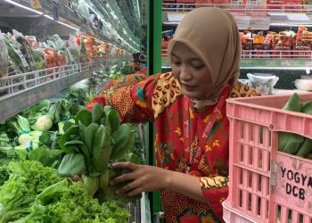 Selada Hidroponik Lapas Indramayu Laku di Yogya Toserba‎