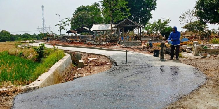 Ditengah Efisiensi Dana Desa, Pemdes Kaligawe Mampu Bangun Jalan Beton Akses Pertanian dan TPU