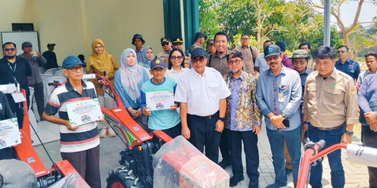 Proyek Upland Kementan Genjot 550 Hektare Mangga Gedong Gincu Cirebon, Petani Milenial Dilibatkan dan Siap Ekspor ke Jepang
