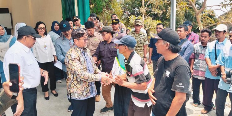 Central Warehouse Sedong Rampung 100%, Dirjen Kementerian Pertanian Turun Cek Kawasan 550 Ha Mangga Gedong Gincu