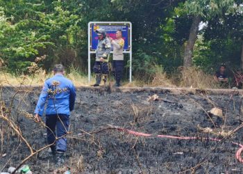 Damkar Selamatkan Permukiman dari Amukan Kobaran Api Ilalang