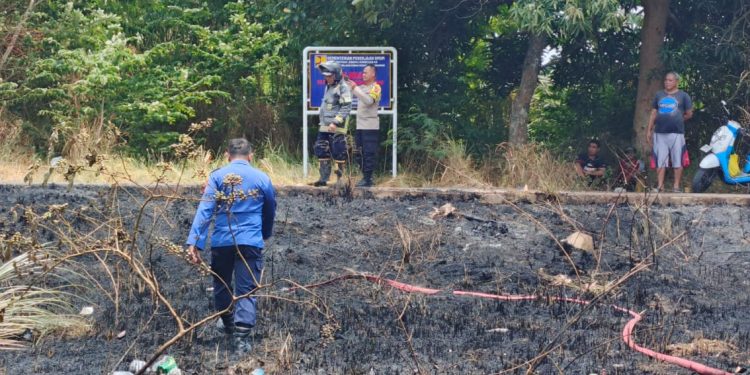 Damkar Selamatkan Permukiman dari Amukan Kobaran Api Ilalang