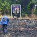 Damkar Selamatkan Permukiman dari Amukan Kobaran Api Ilalang