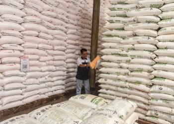 Hujan Diprediksi Mulai Guyur Jabar Pekan Ketiga Oktober, Pupuk Kujang Siapkan 98 Ribu Ton Pupuk Subsidi