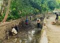 Antisipasi Kerusakan Meluas Jelang Musim Hujan, Saluran Batu Lintang di Kecamatan Sedong Dikebut