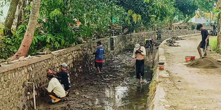 Antisipasi Kerusakan Meluas Jelang Musim Hujan, Saluran Batu Lintang di Kecamatan Sedong Dikebut